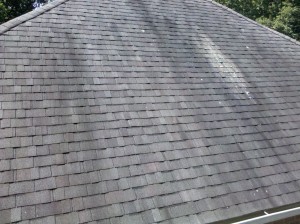 Gloeocapsa_Magma_on_Shingles on roof Roof Cleaning Gulfport Mississippi